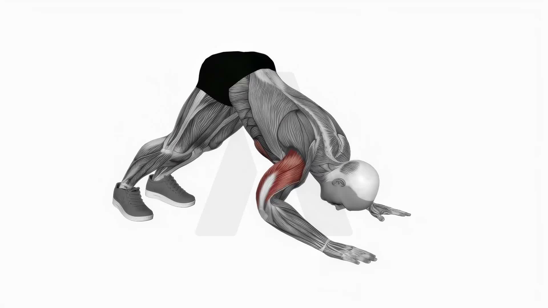 Pike Push Up exercise demonstration
