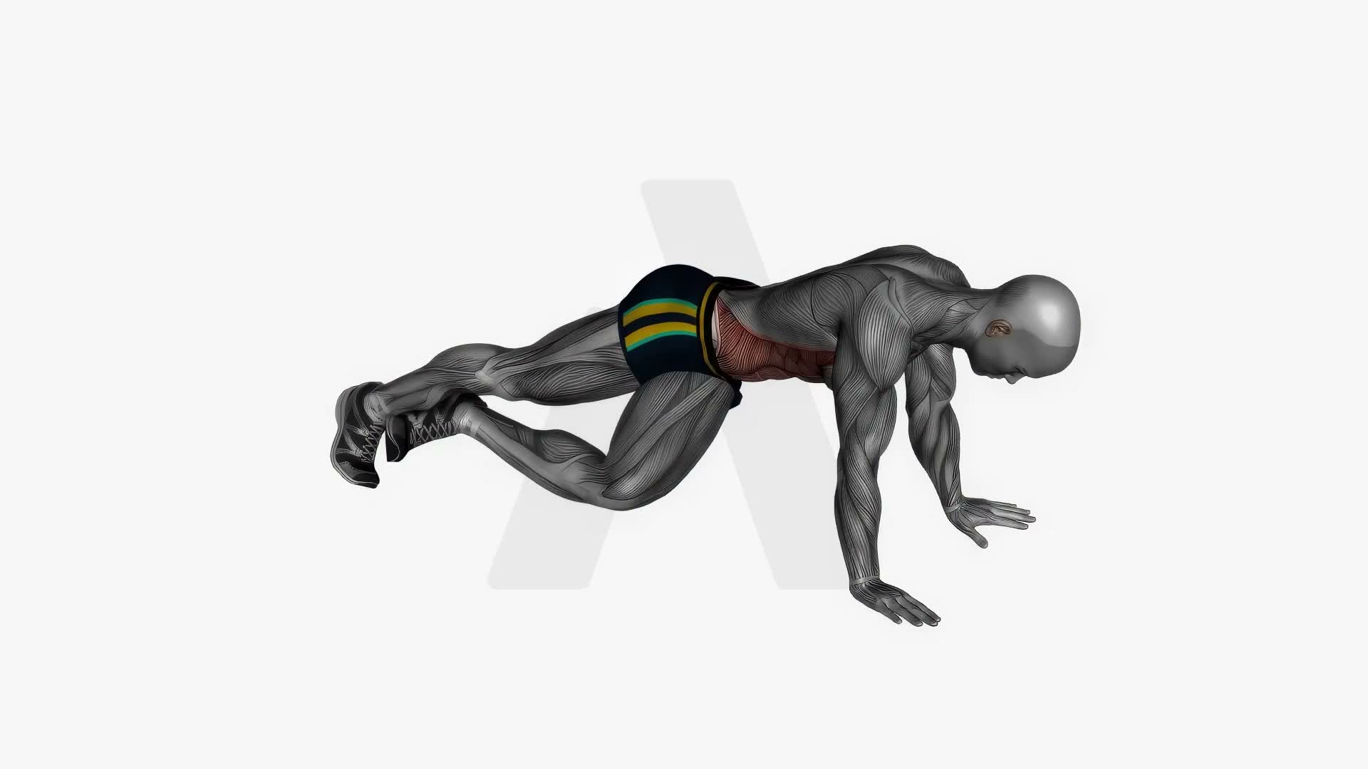 Plank Cross Knee Drive exercise demonstration
