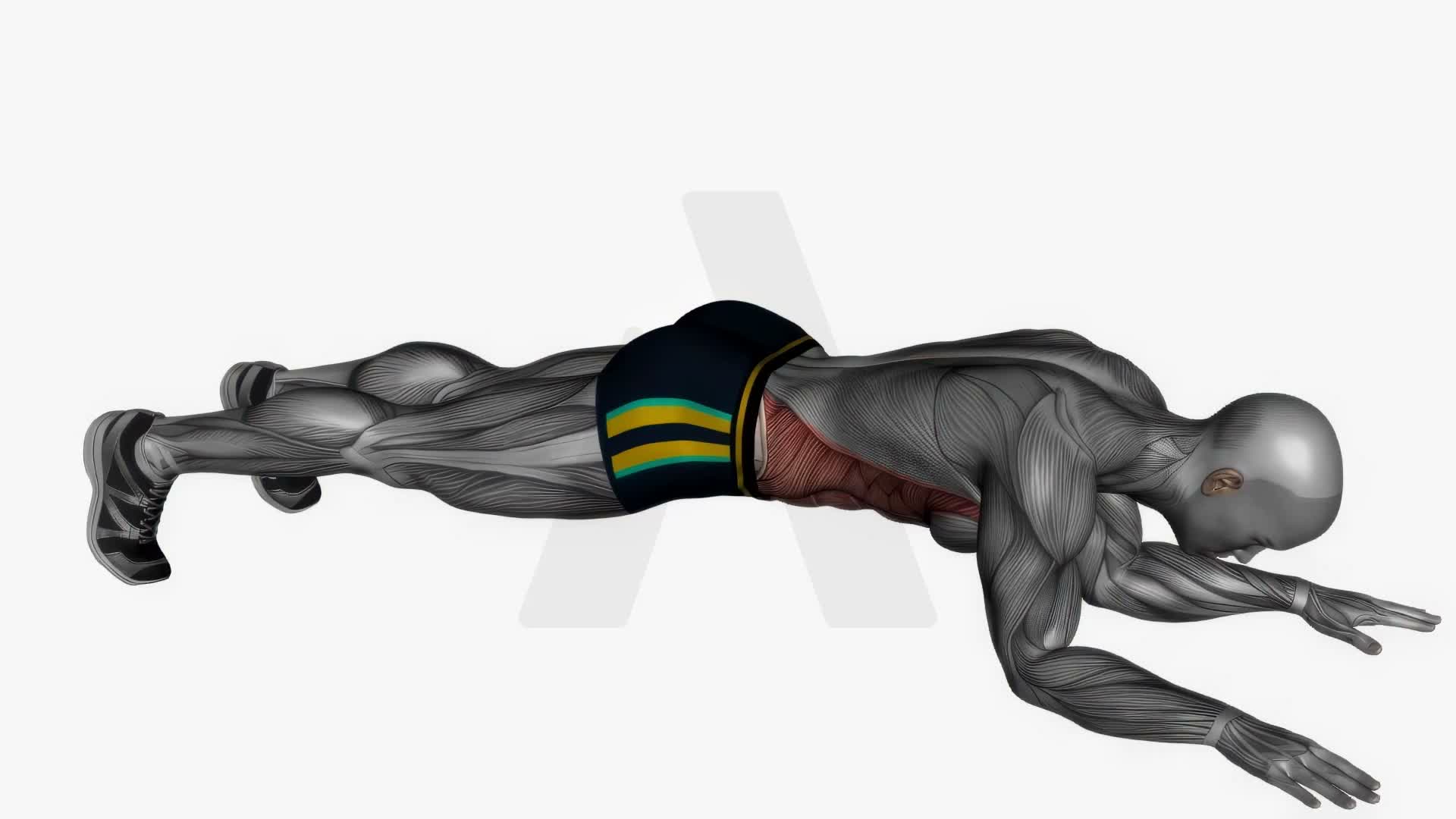 Plank Jack exercise demonstration