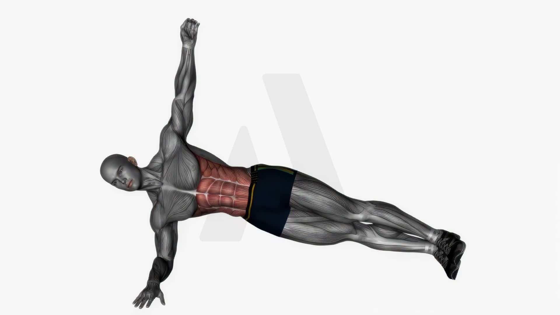 Plank Reach Through exercise demonstration