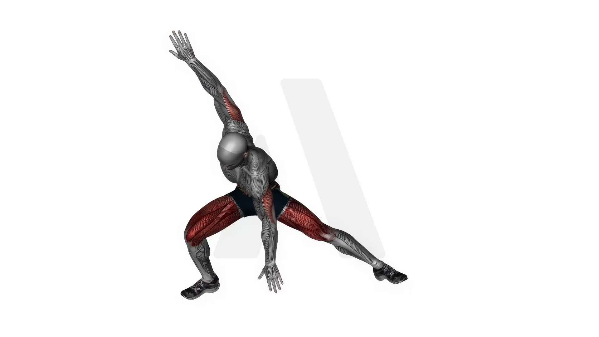 Plyo Side Lunge Stretch exercise demonstration