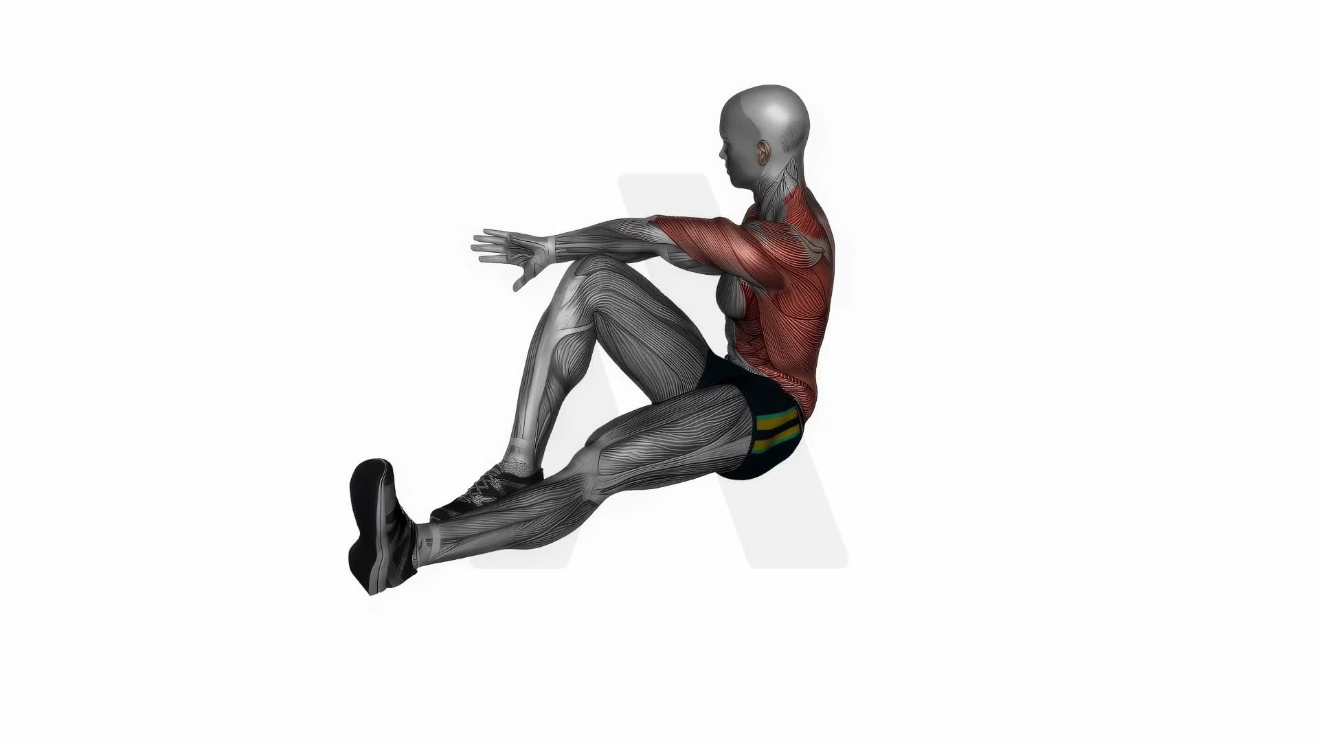Pretzel Stretch exercise demonstration