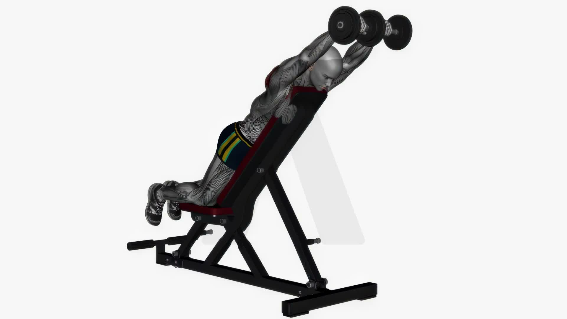 Prone Front Raises Dumbbell On Bench exercise demonstration