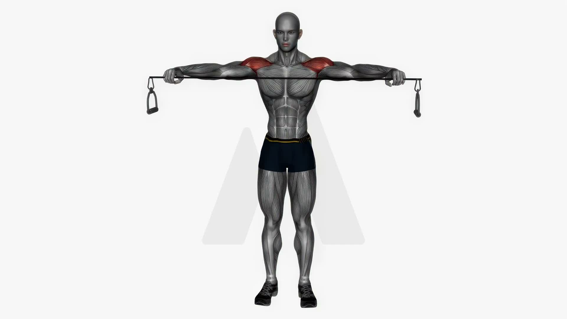 Pull Apart Cable Resistance Band exercise demonstration