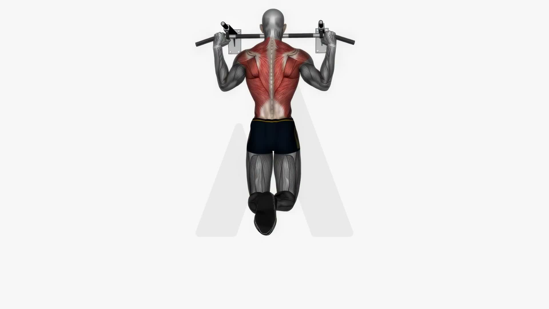 Pull Up exercise demonstration