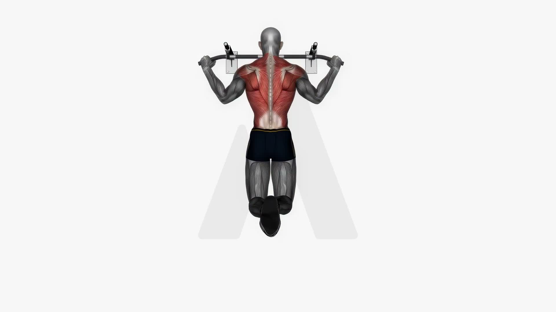 Pull Up Wide Grip exercise demonstration