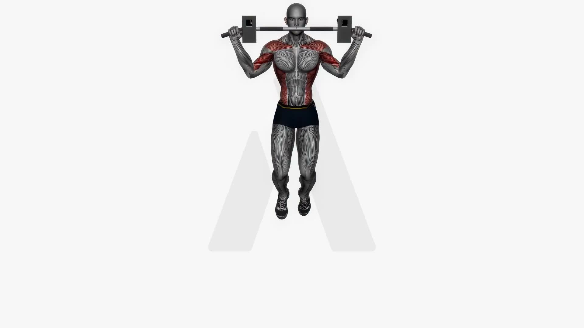 Pull Up Wide Grip Front View exercise demonstration