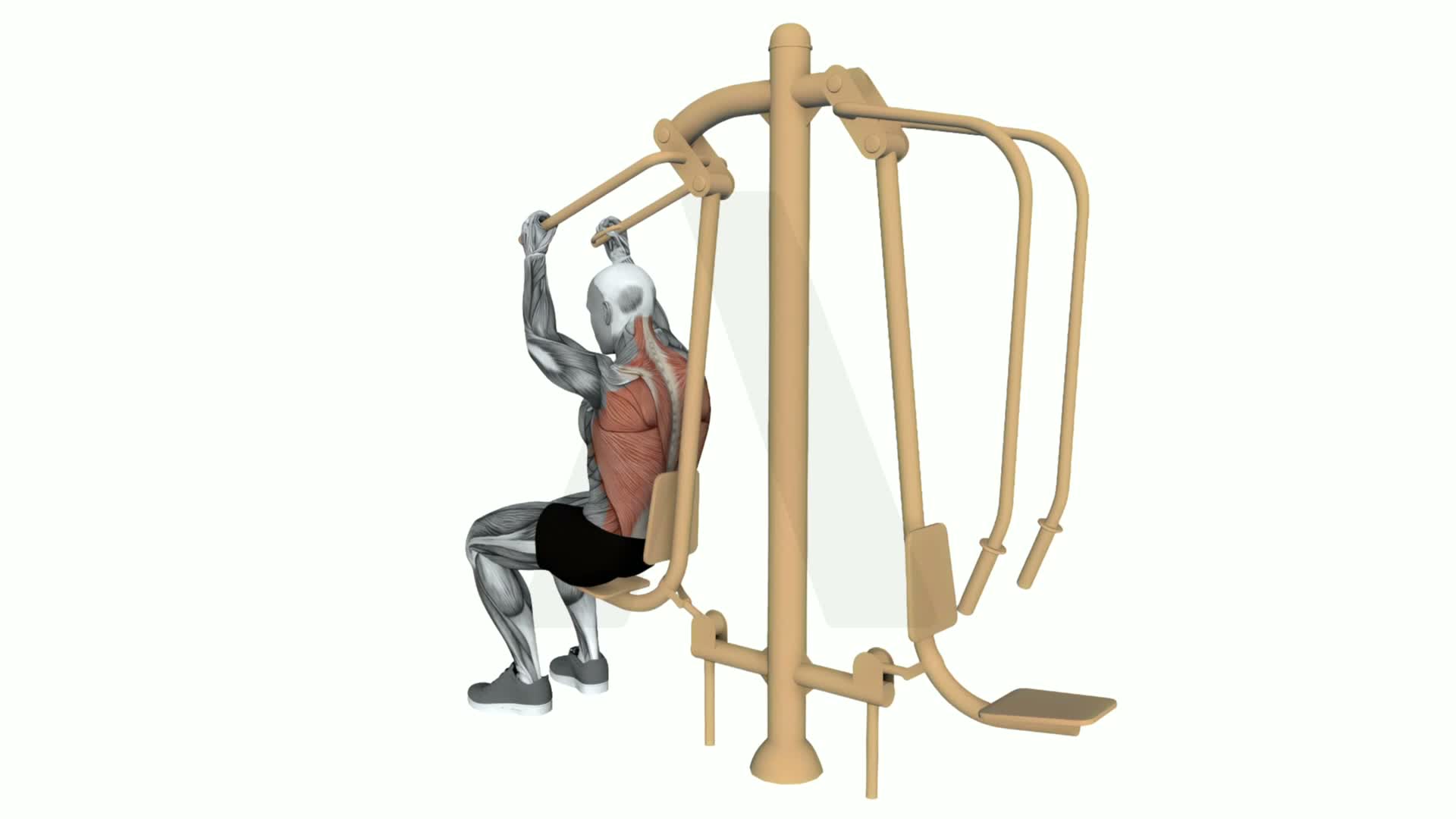 Push Pull Chair Over Head Pull exercise demonstration