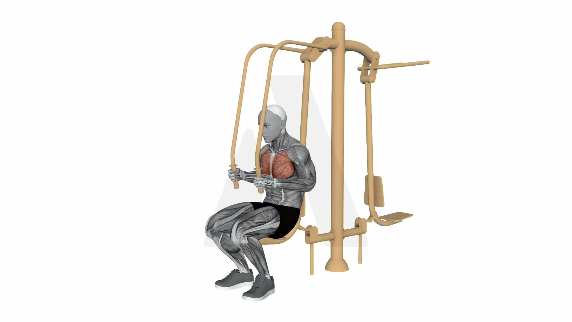 Push Pull Front Handle Push exercise demonstration