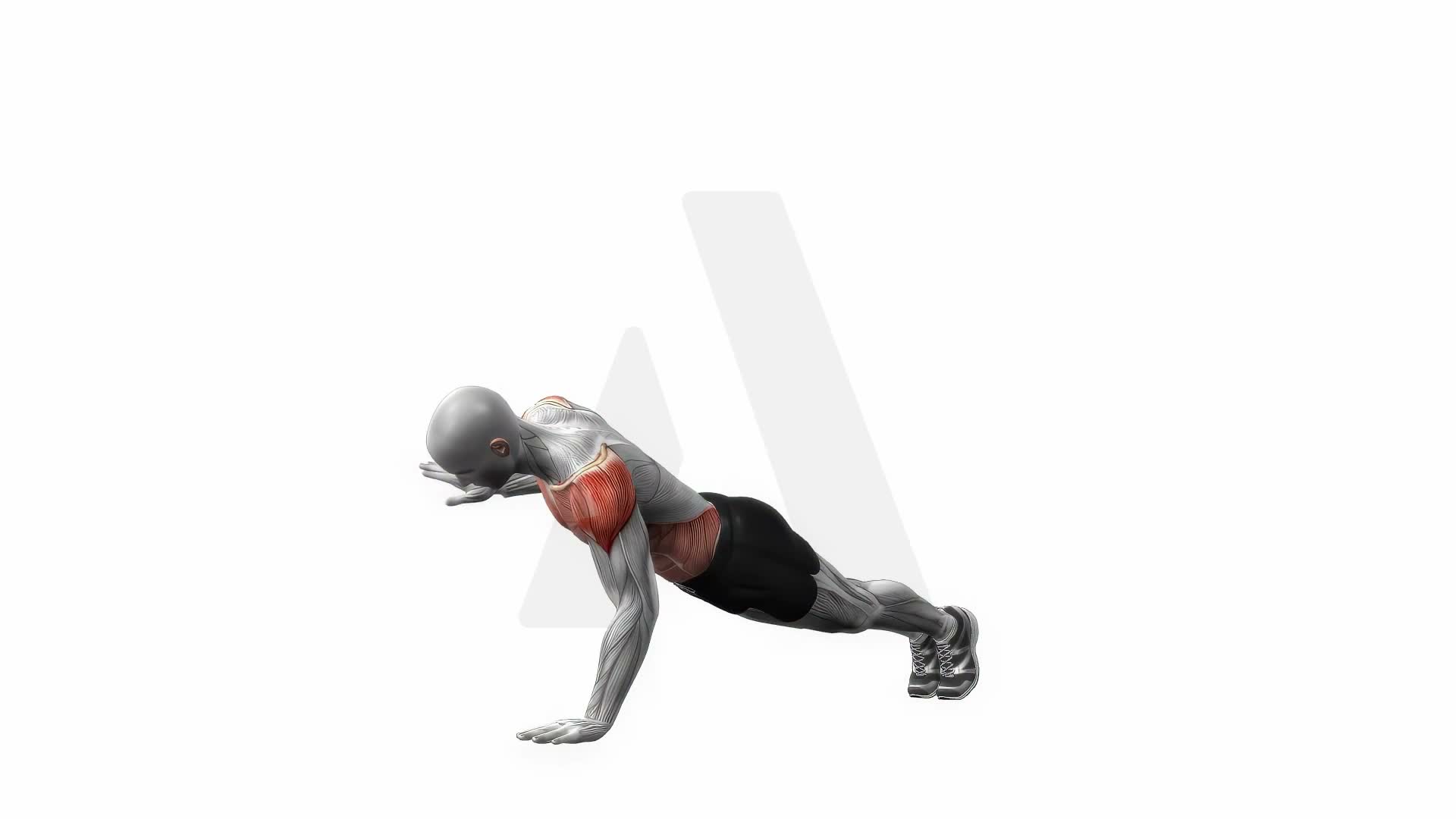 Push Up And Rotation exercise demonstration