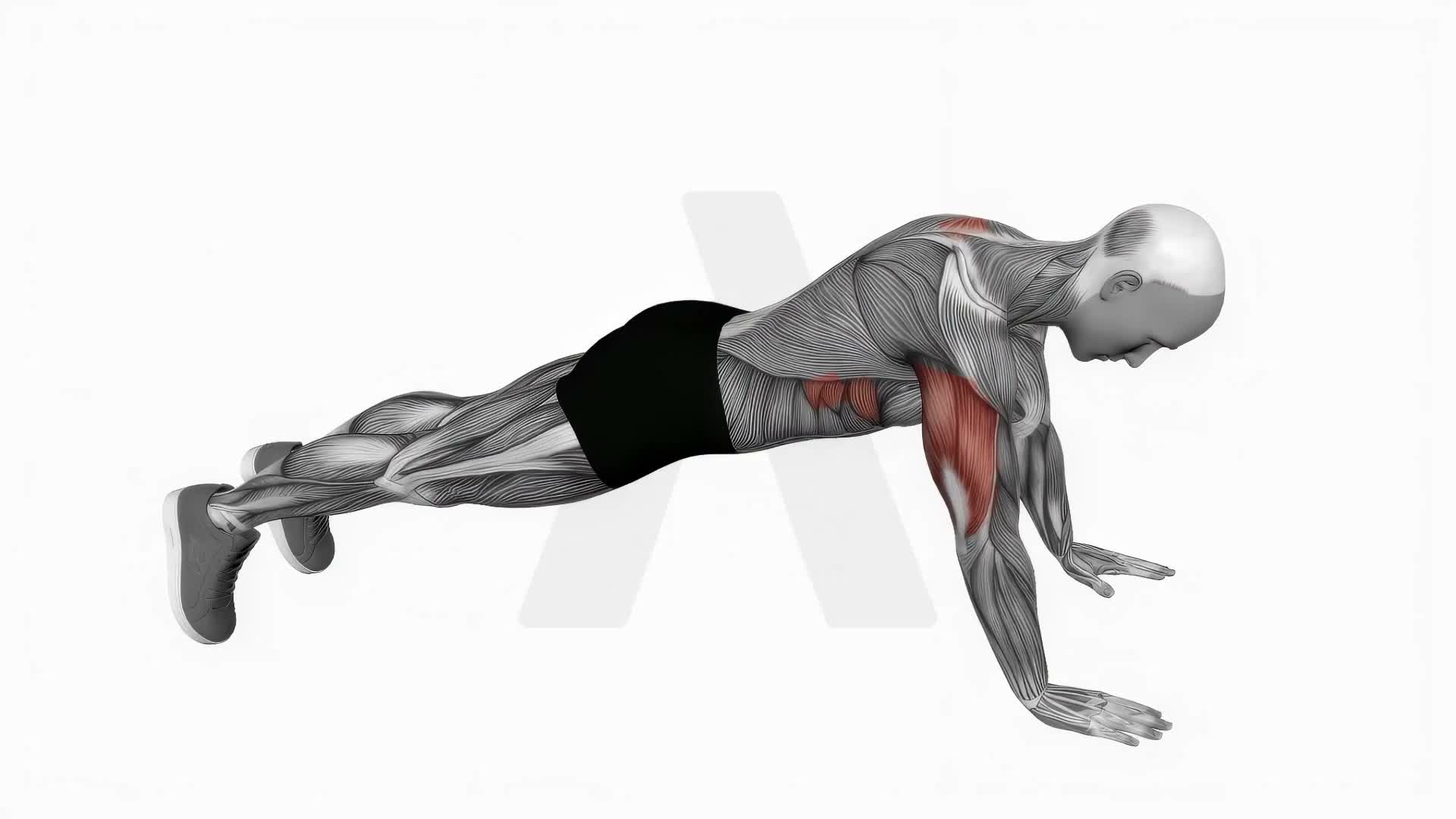 Push Up Plus exercise demonstration