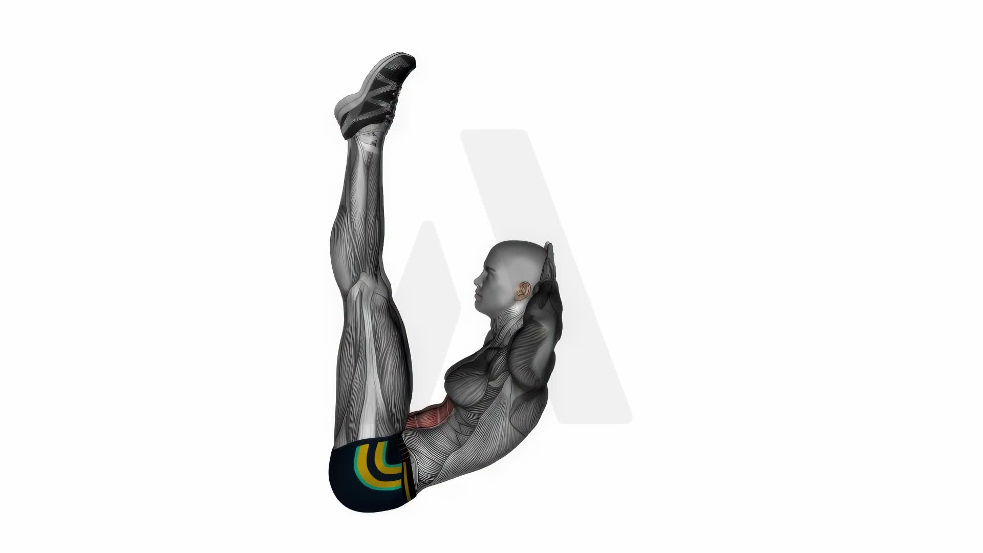 Raised Leg Crunch exercise demonstration