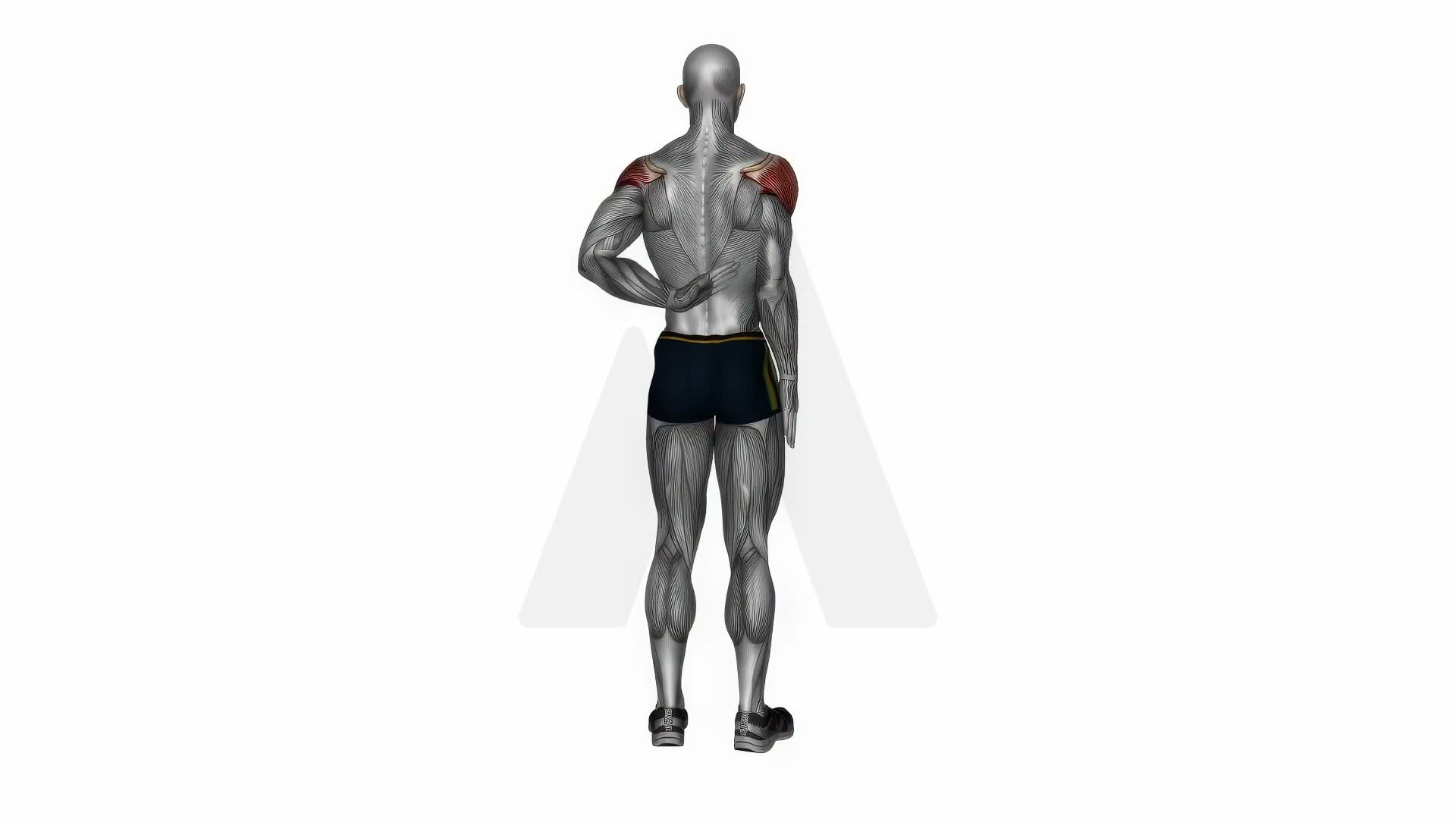 Reaching Up Shoulder Stretch exercise demonstration