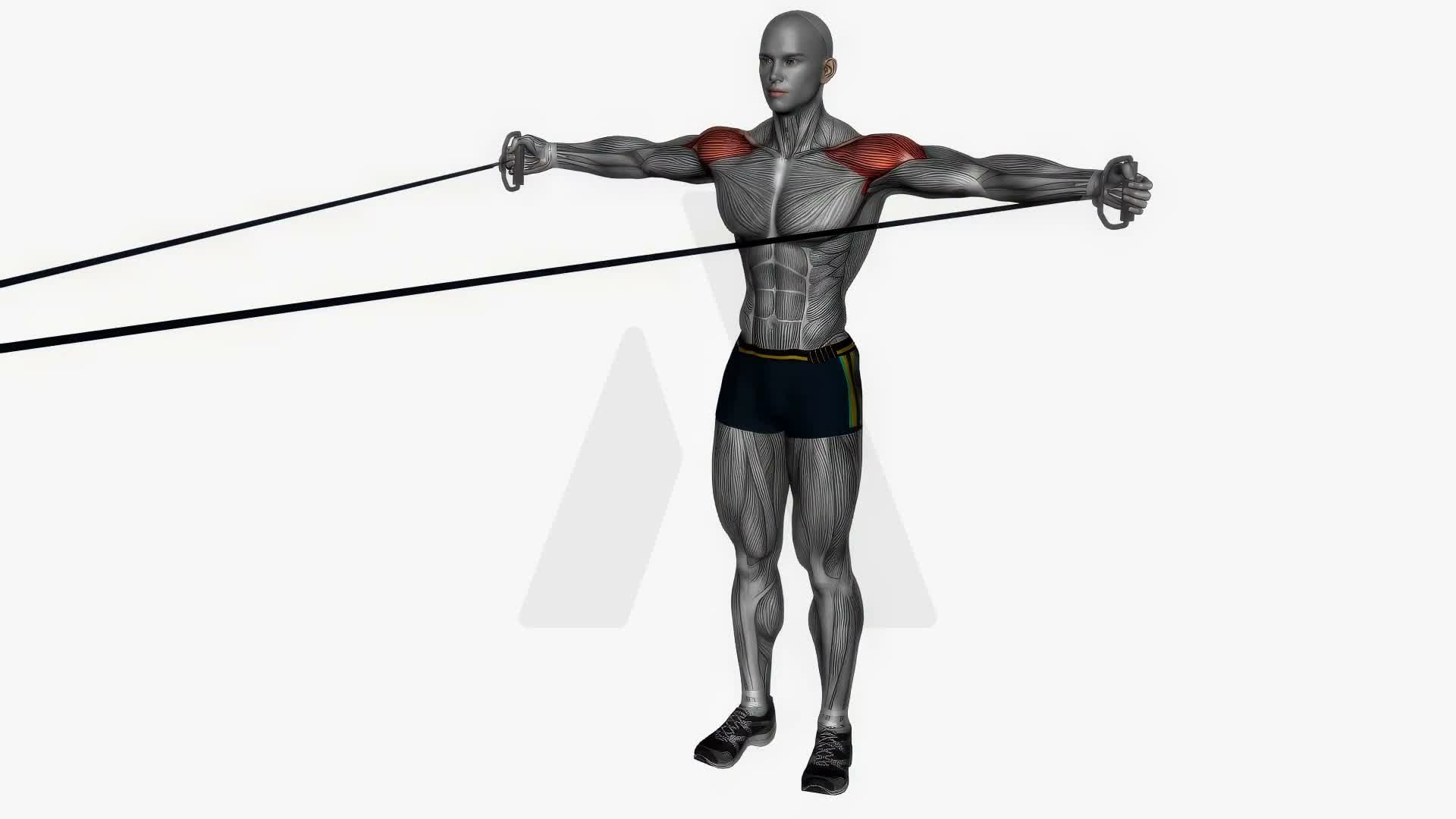 Rear Deltoid Fly Cable Resistance Band exercise demonstration