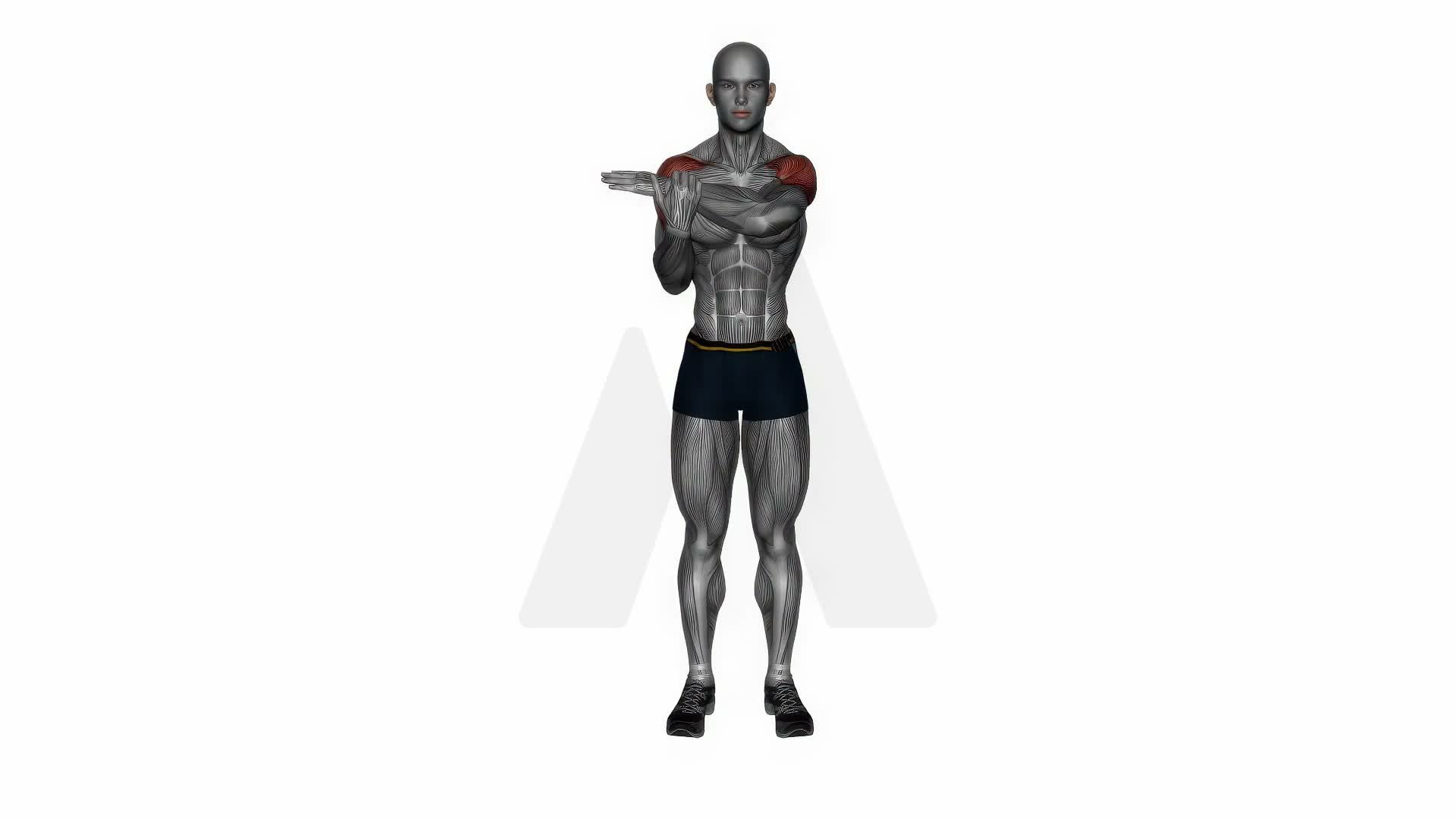 Rear Deltoid Stretch exercise demonstration