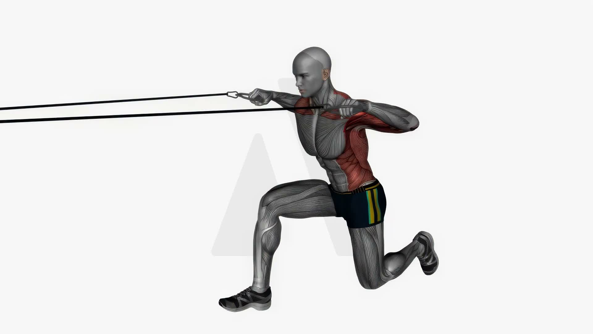 Resistance Band Cable Row exercise demonstration