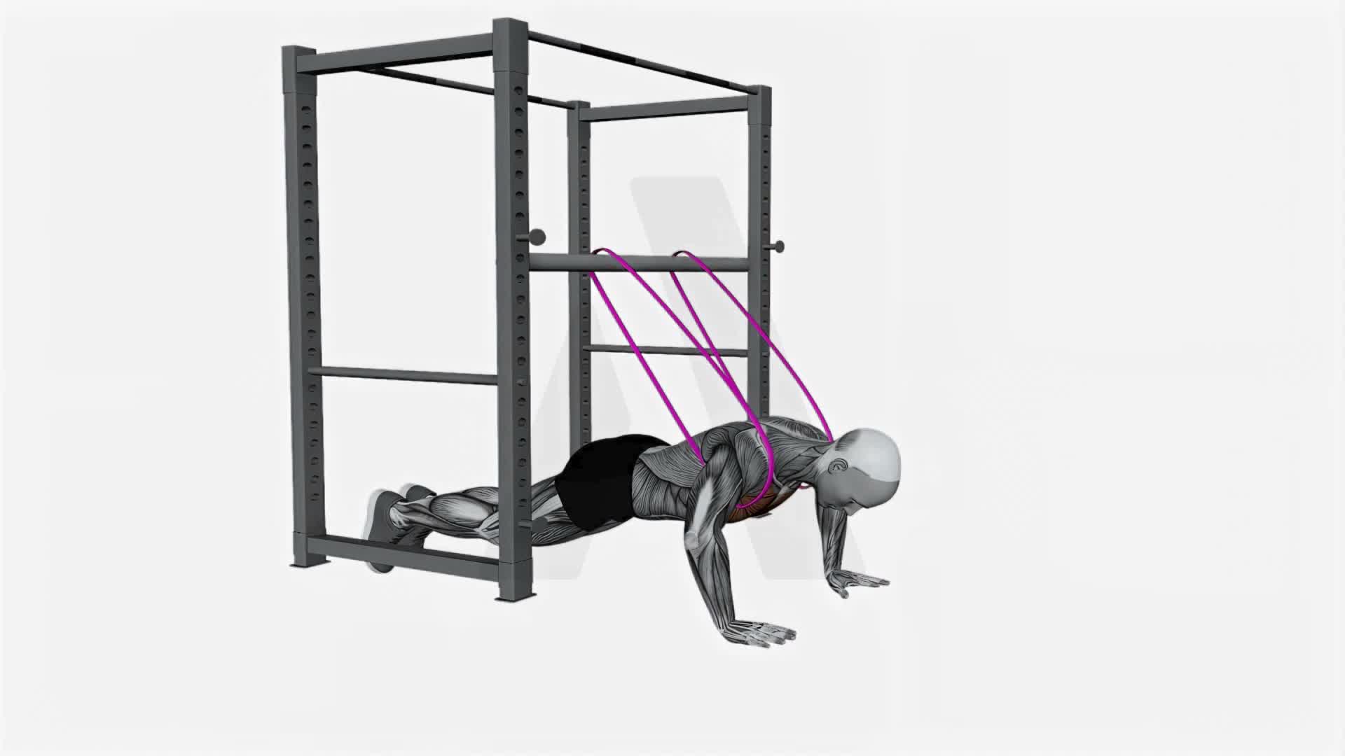 Resistance Band Assisted Push Up exercise demonstration