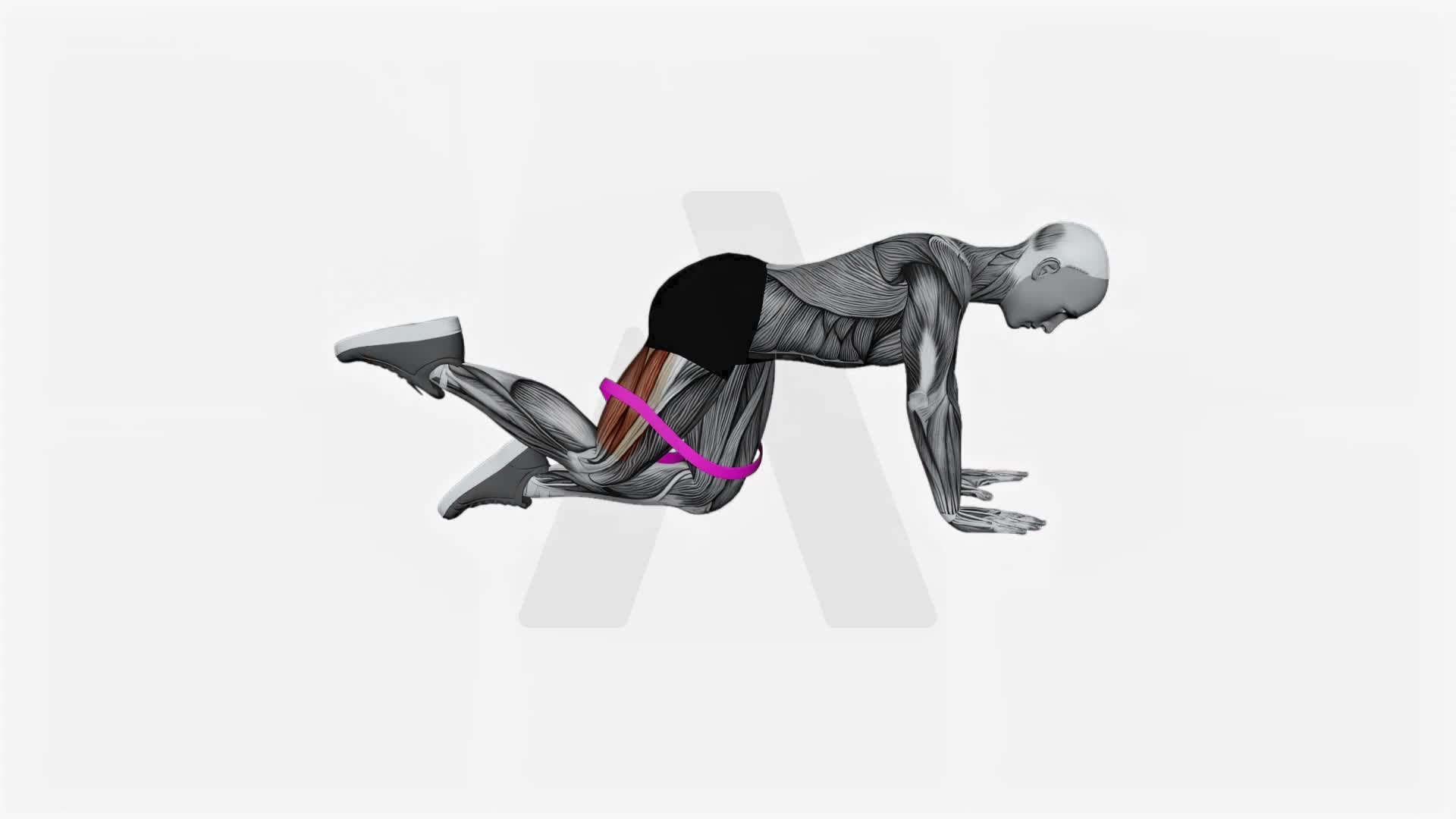 Resistance Band Bent Leg Kickback (Kneeling) exercise demonstration