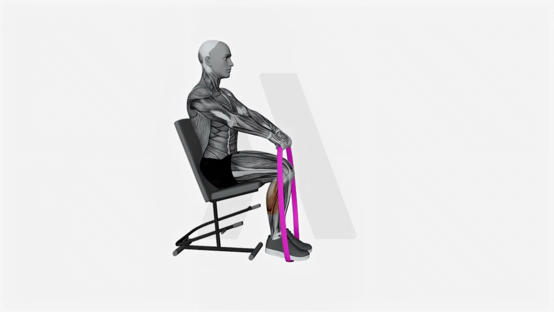 Resistance Band Calf Press Sitting On Chair exercise demonstration
