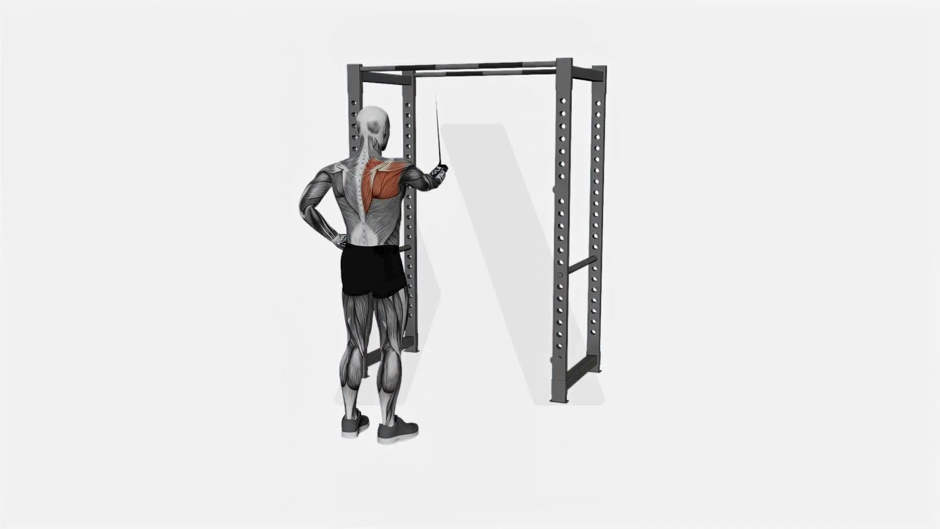 Resistance Band Cross Body Single Straight Arm Supinated Pulldown exercise demonstration