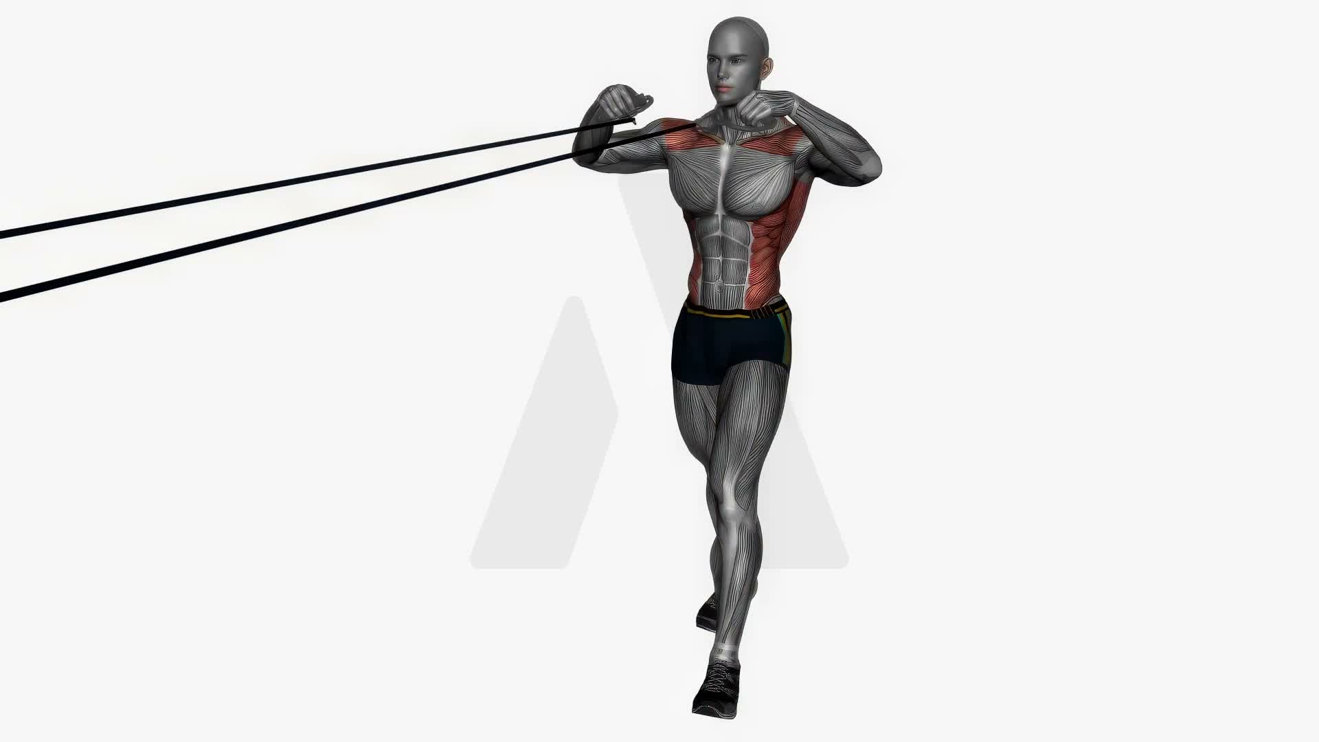Resistance Band Face Pull exercise demonstration