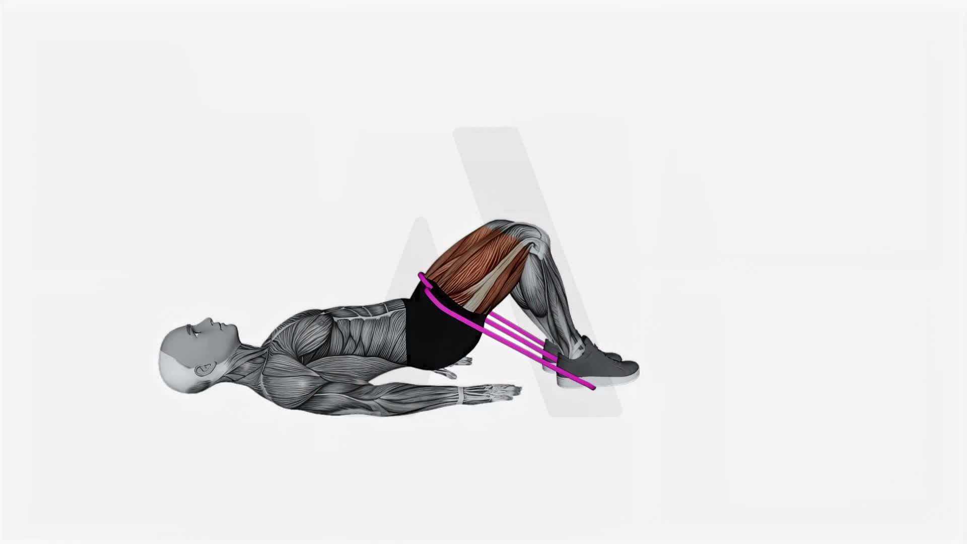 Resistance Band Hip Thrust (Version 2) exercise demonstration
