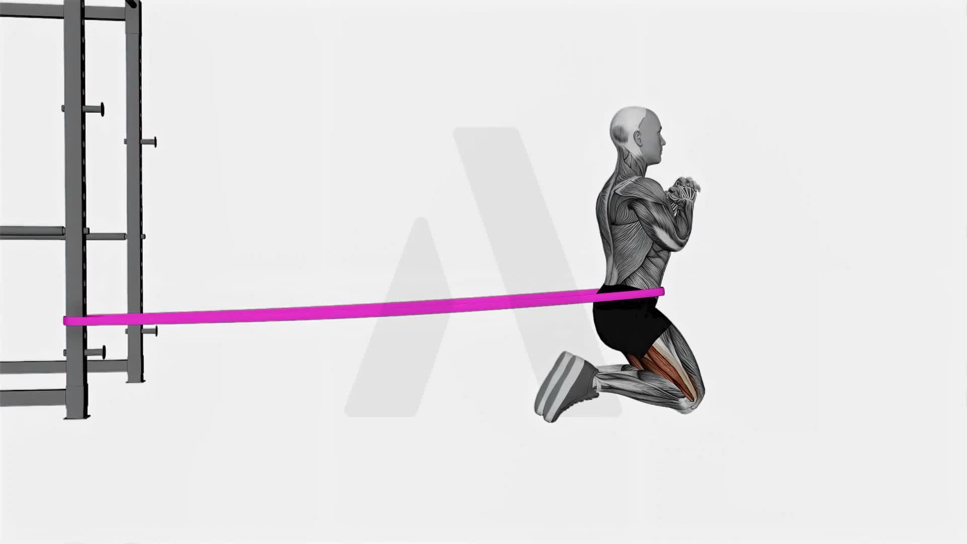 Resistance Band Hip Thrusts On Knees exercise demonstration