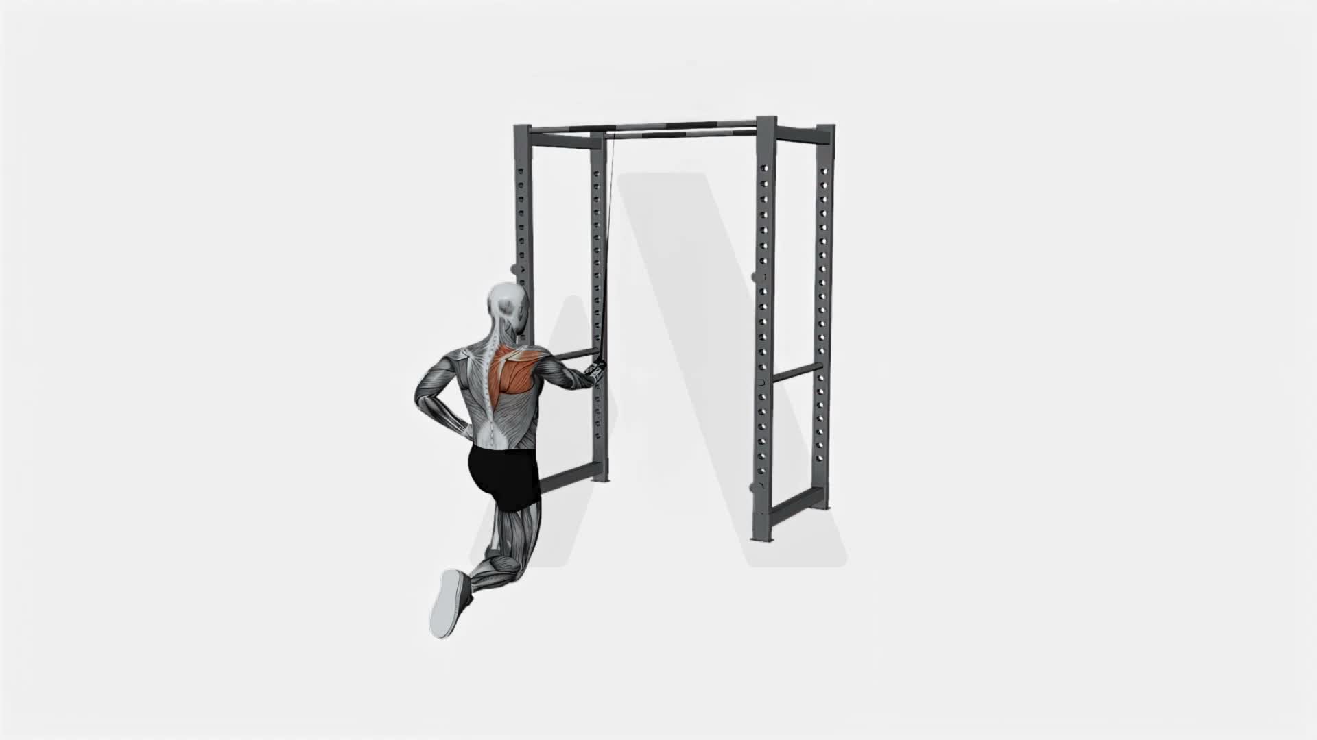 Resistance Band Kneeling Cross Body Single Straight Arm Supinated Pulldown exercise demonstration