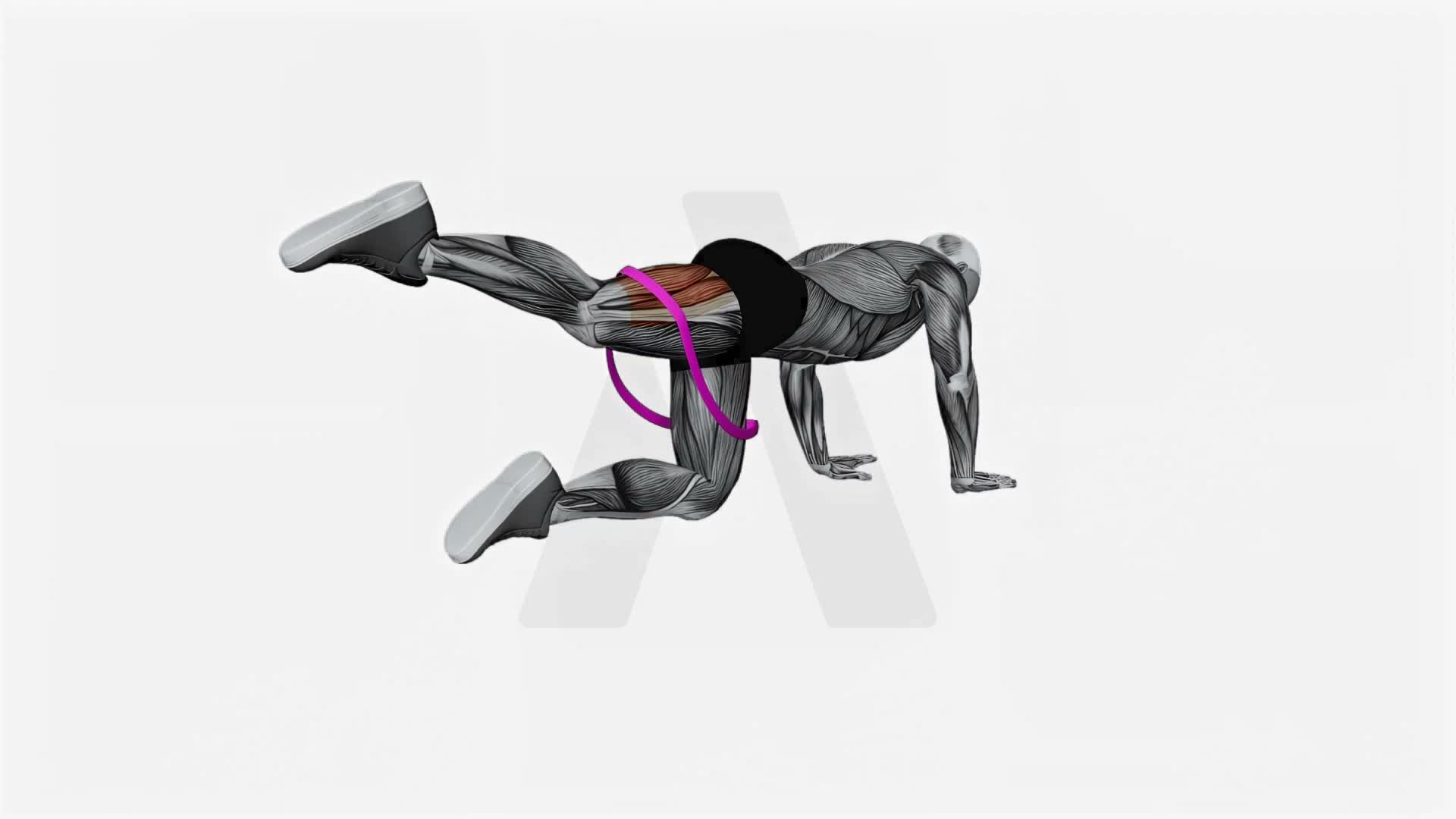 Resistance Band Kneeling Leg Half Circle exercise demonstration