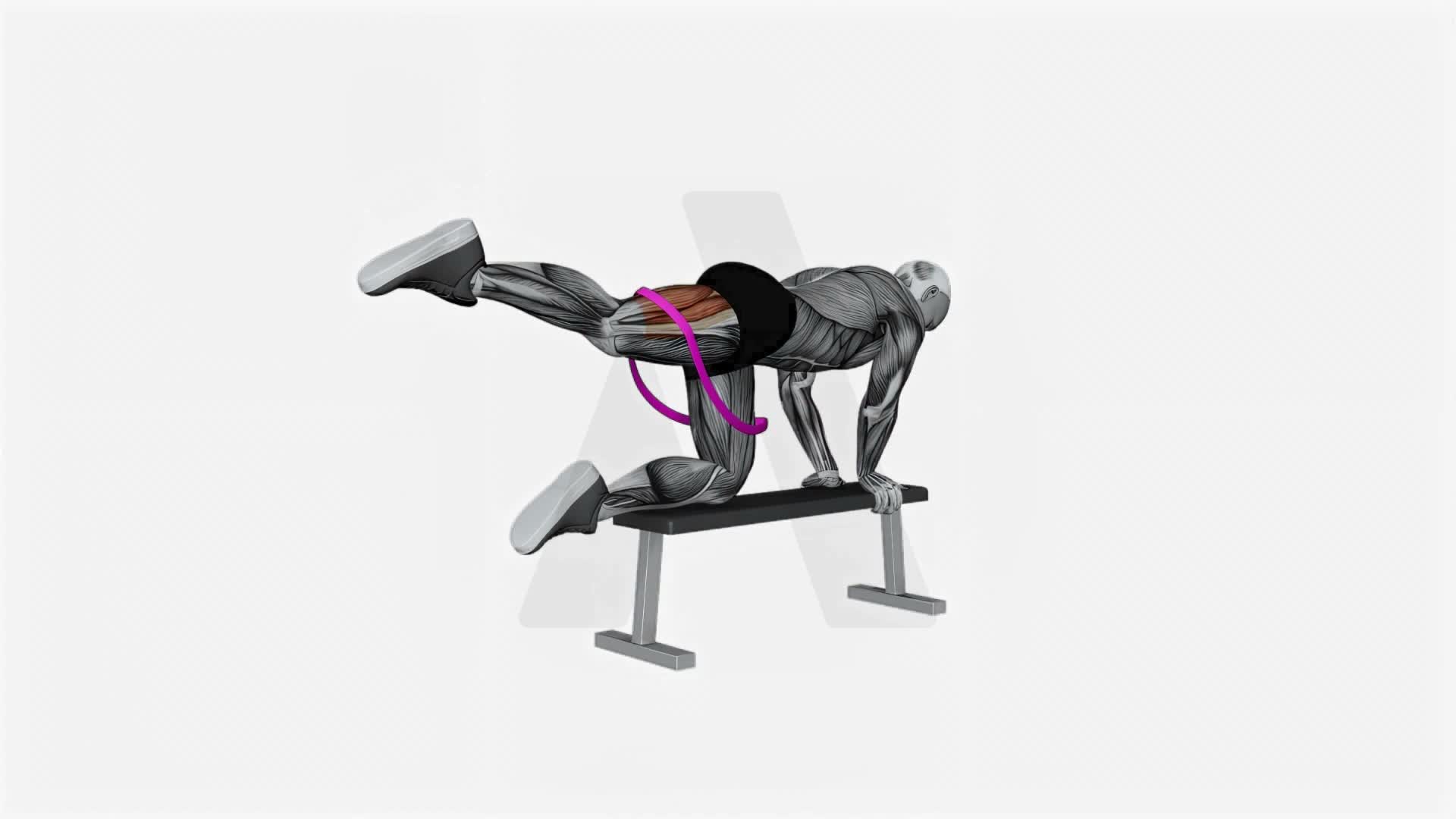 Resistance Band Kneeling Leg Half Circle On Bench exercise demonstration