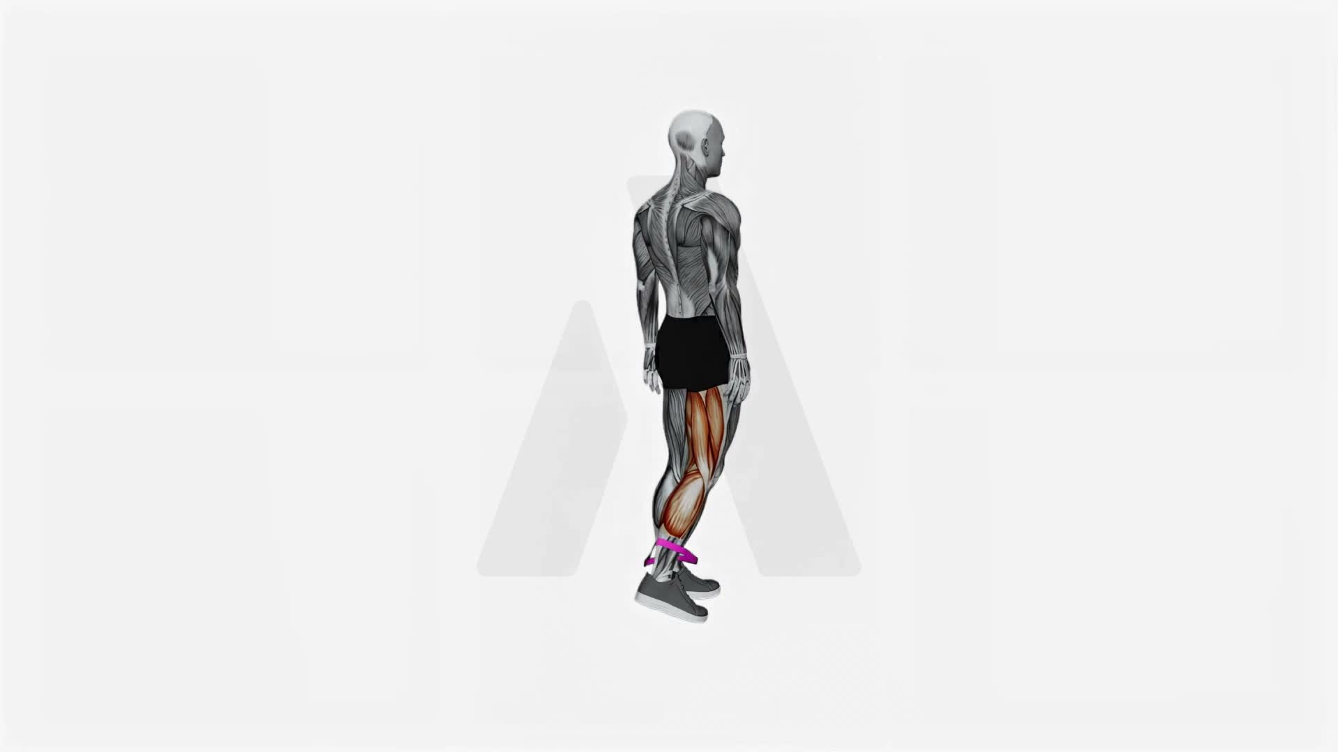 Resistance Band Leg Curl exercise demonstration