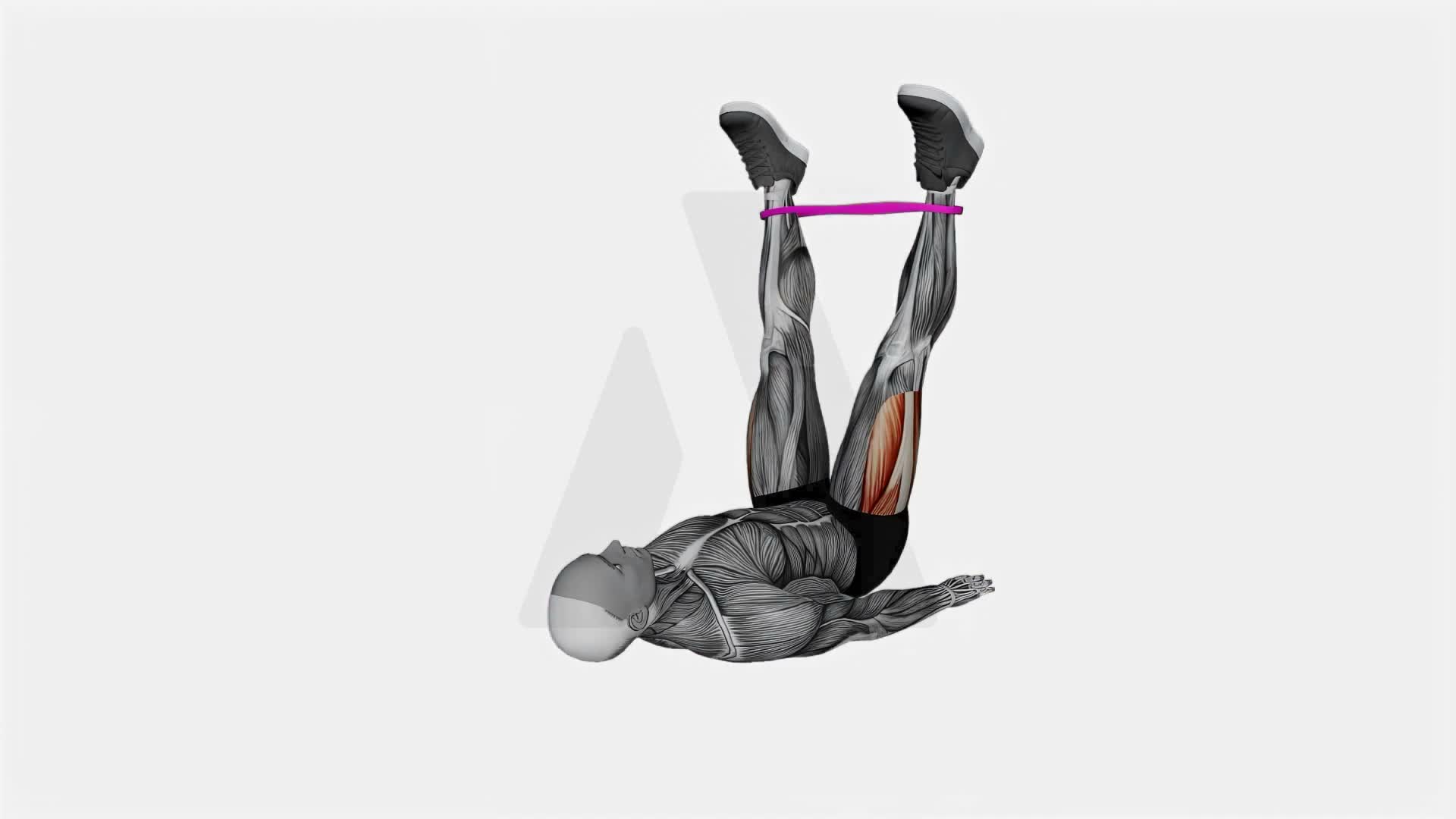 Resistance Band Lying Abduction exercise demonstration