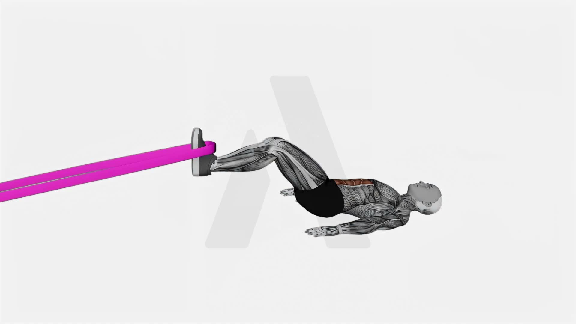 Resistance Band Lying Bent Knee Raise exercise demonstration