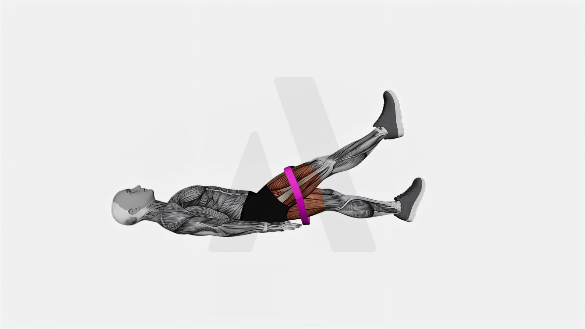 Resistance Band Lying Leg Raise exercise demonstration