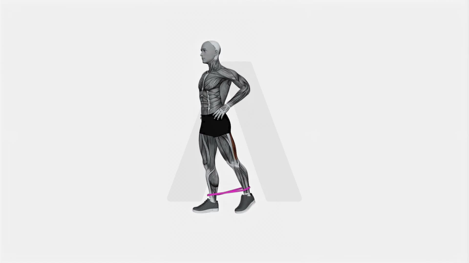 Resistance Band Standing Balance Glute Kickback exercise demonstration