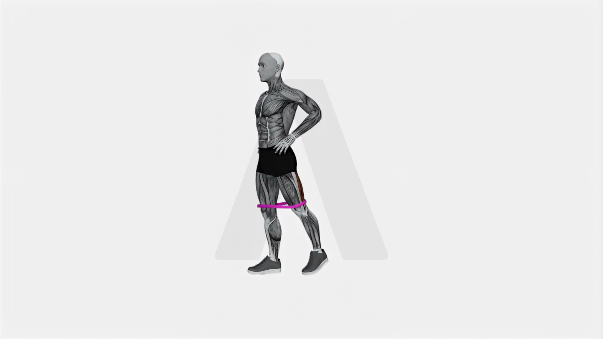 Resistance Band Standing Balance Glute Kickback (Version 2) exercise demonstration