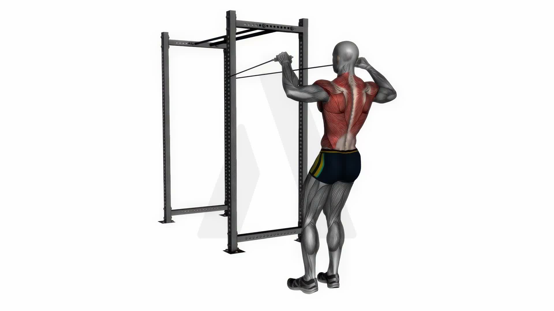 Resistance Bands Facepull exercise demonstration