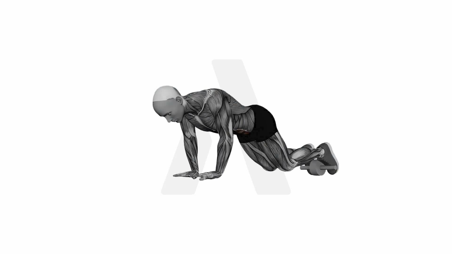 Reverse Ab Wheel Rollout exercise demonstration