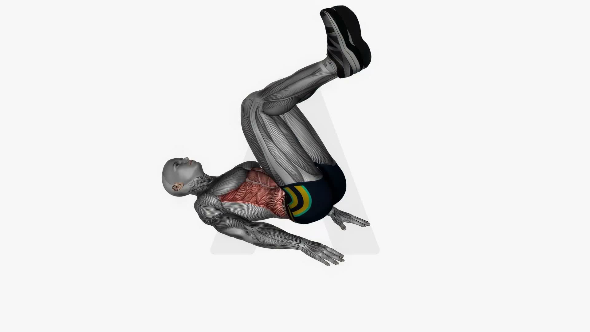 Reverse Crunch exercise demonstration