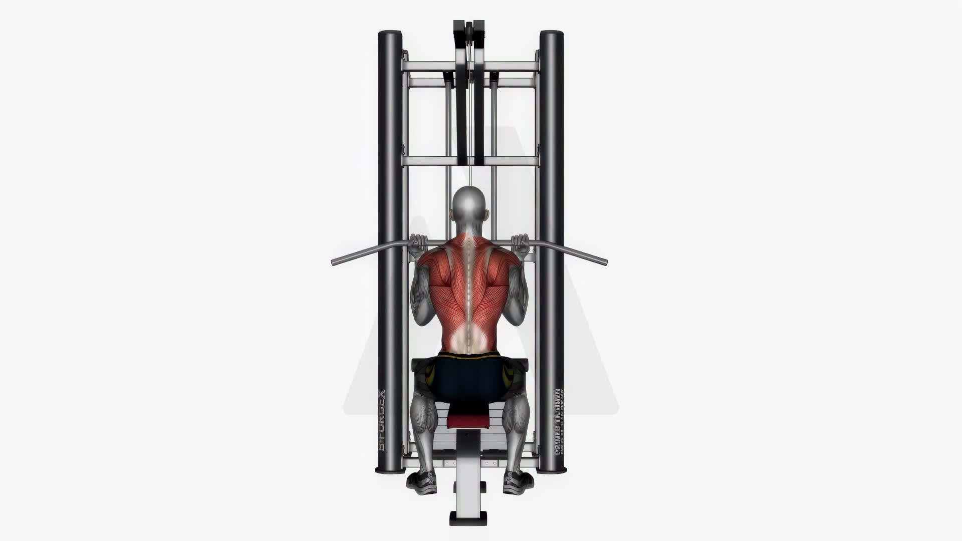Reverse Grip Lat Pull Down exercise demonstration