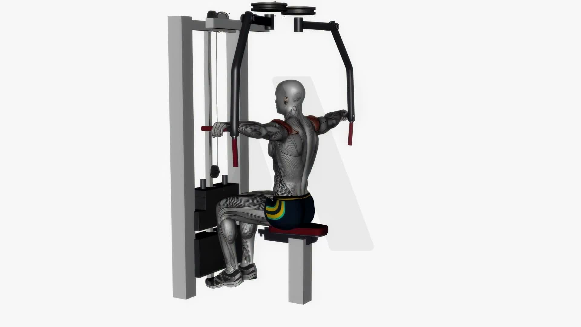 Reverse Machine Fly exercise demonstration