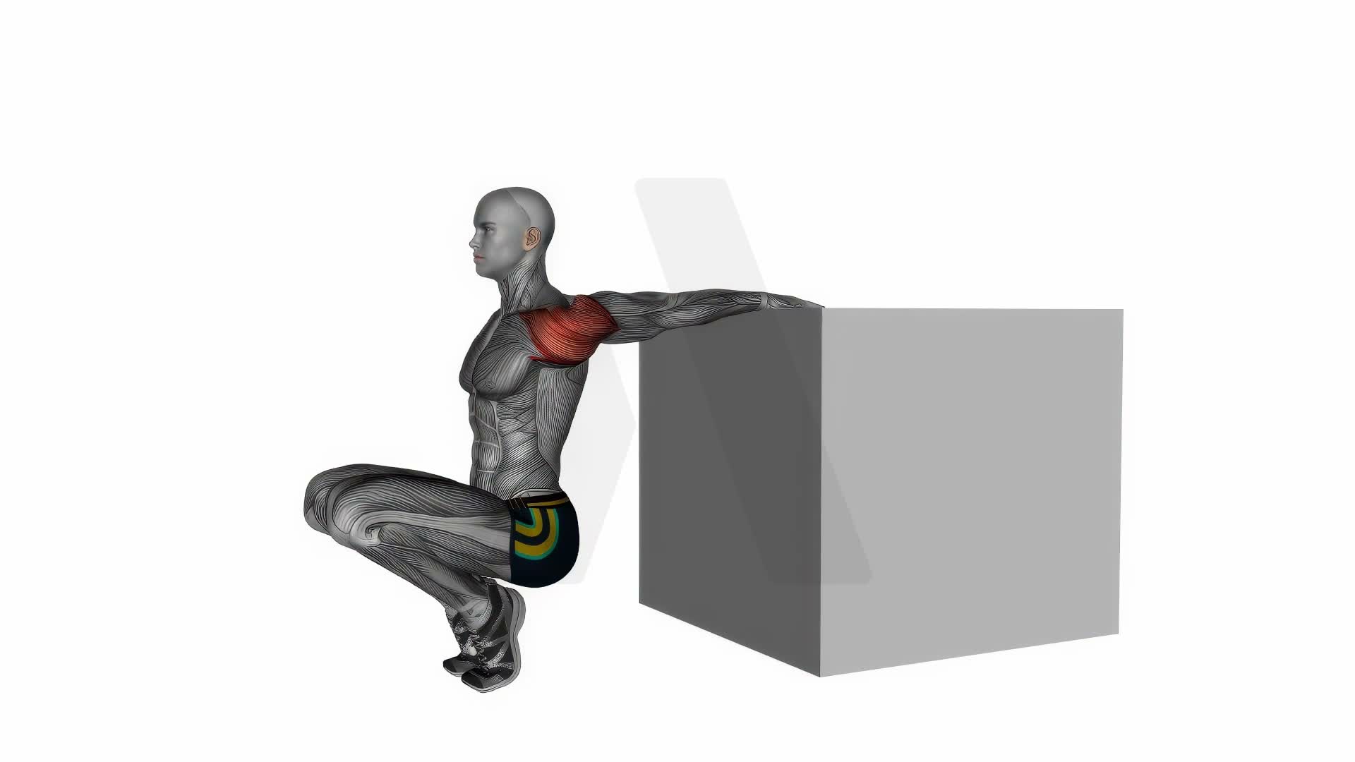 Reverse Shoulder Stretch exercise demonstration