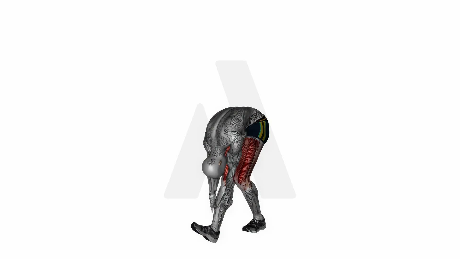 Runner Stretch exercise demonstration