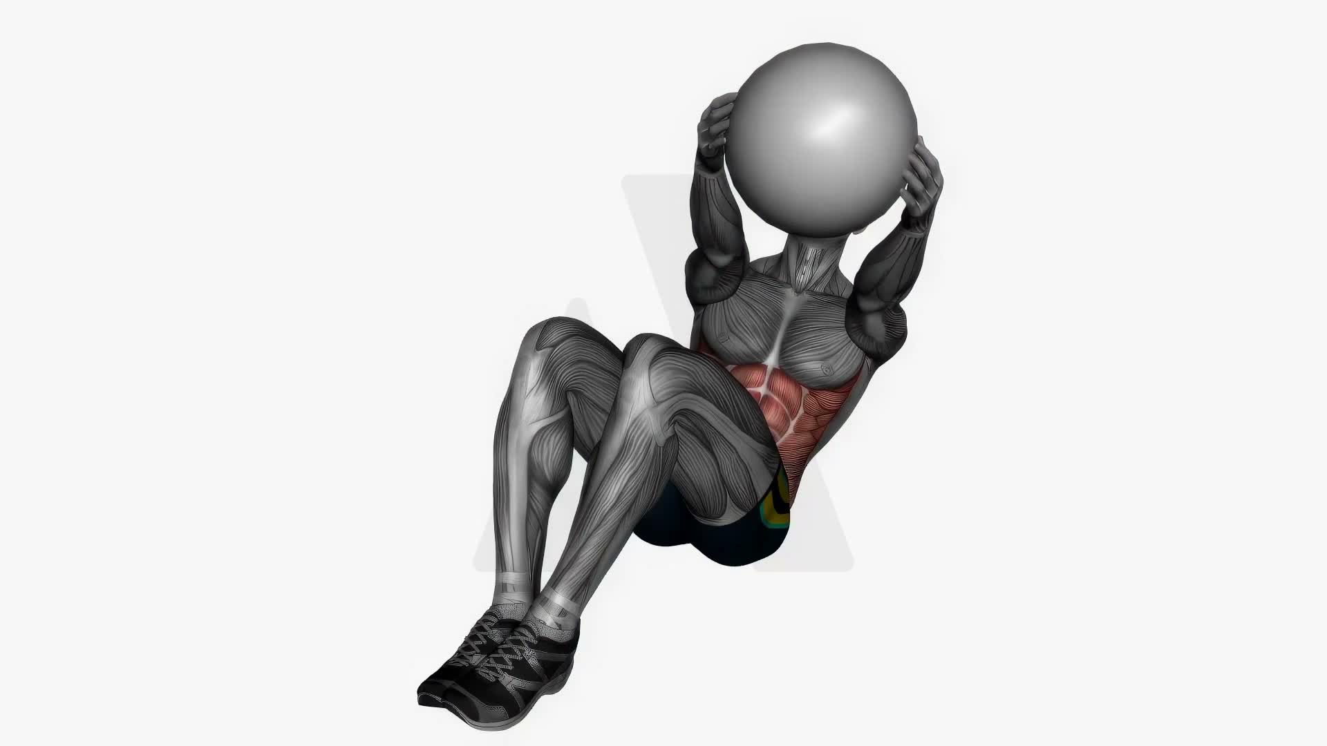 Russian Twist Weighted Ball exercise demonstration