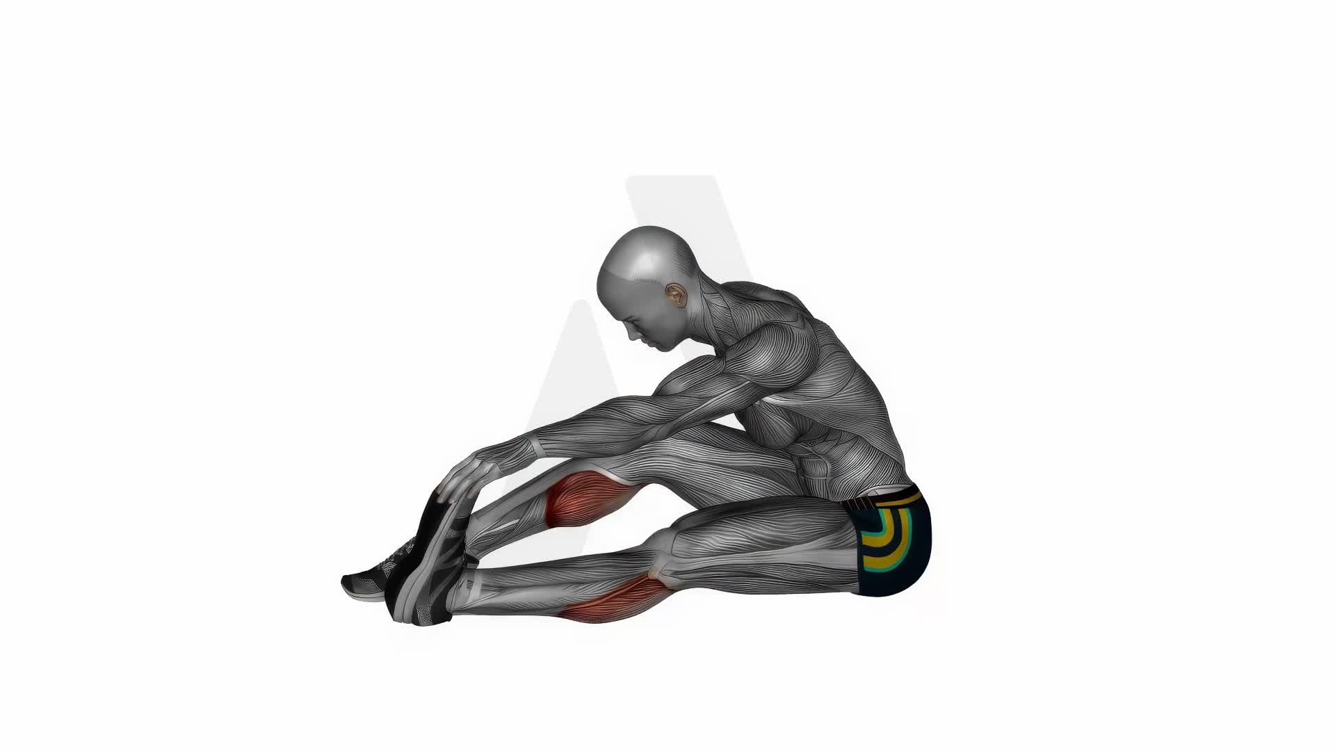 Seated Calf Stretch exercise demonstration