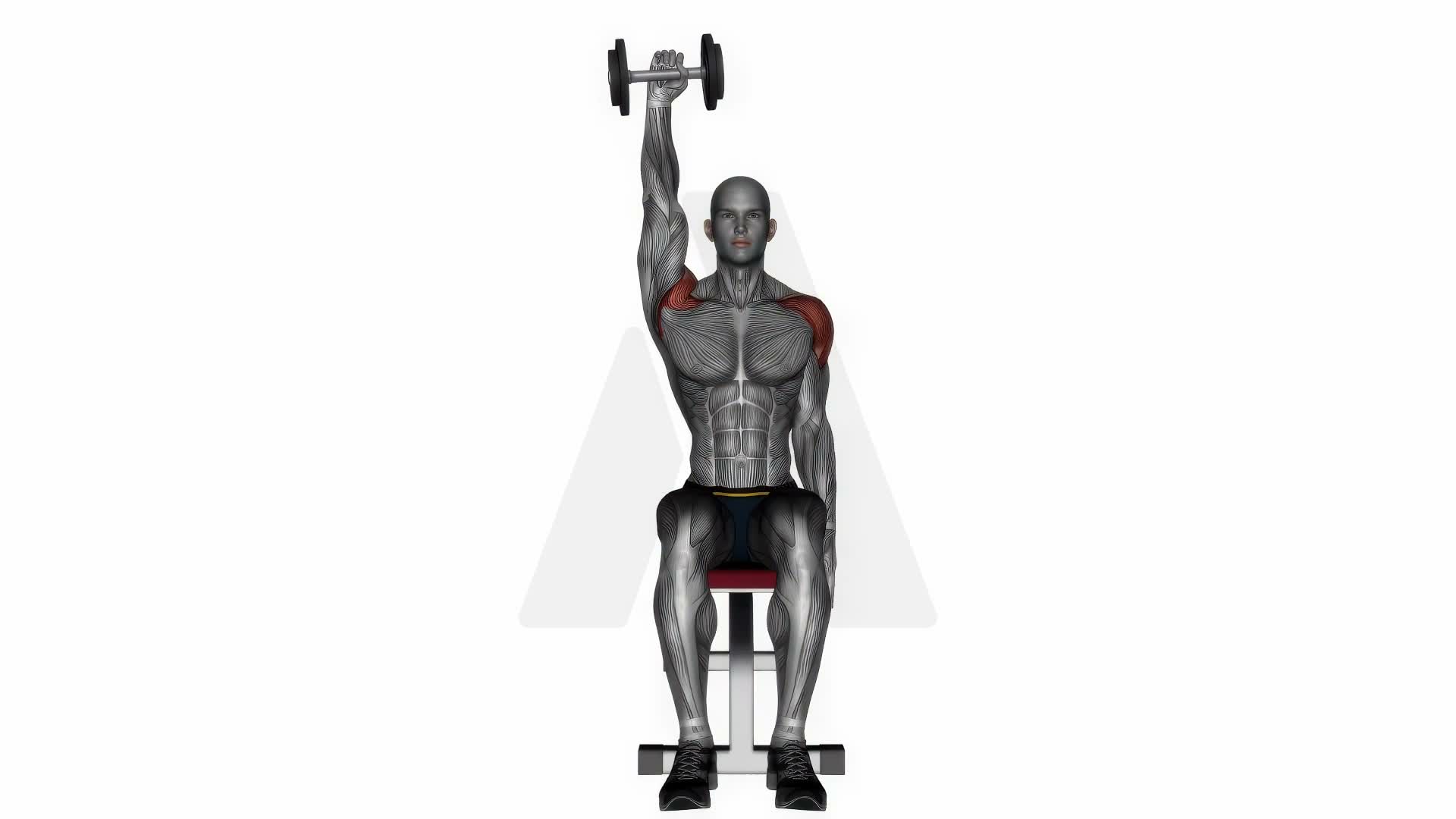 Seated Dumbbell One Arm Shoulder Press exercise demonstration
