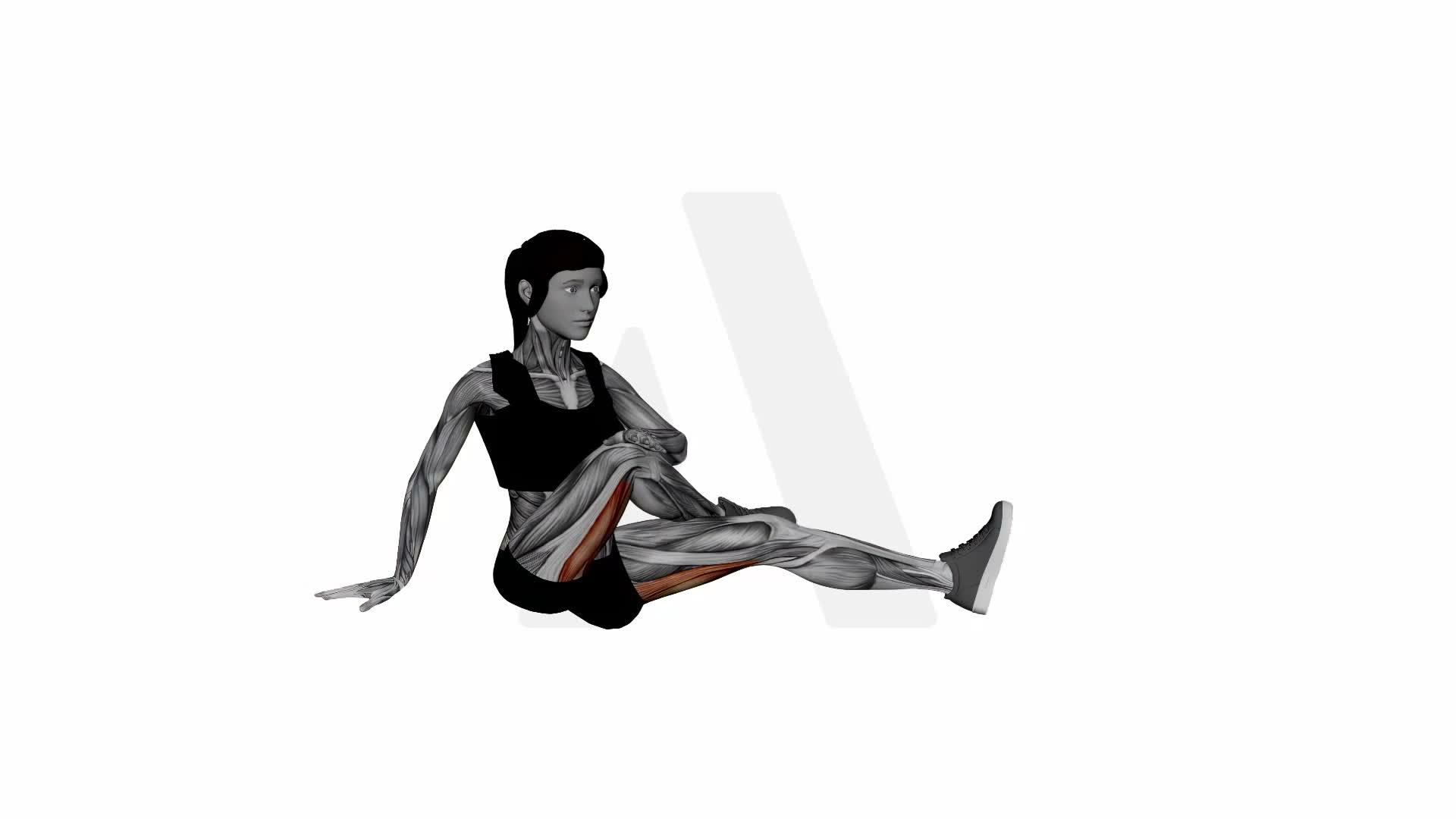Seated Figure Four With Twist Glute Stretch exercise demonstration