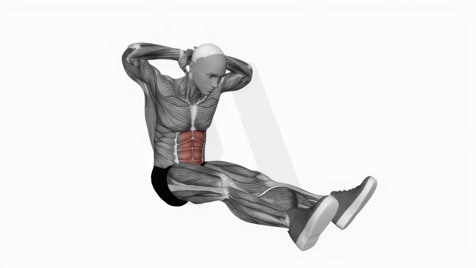 Seated Floor Crunches exercise demonstration