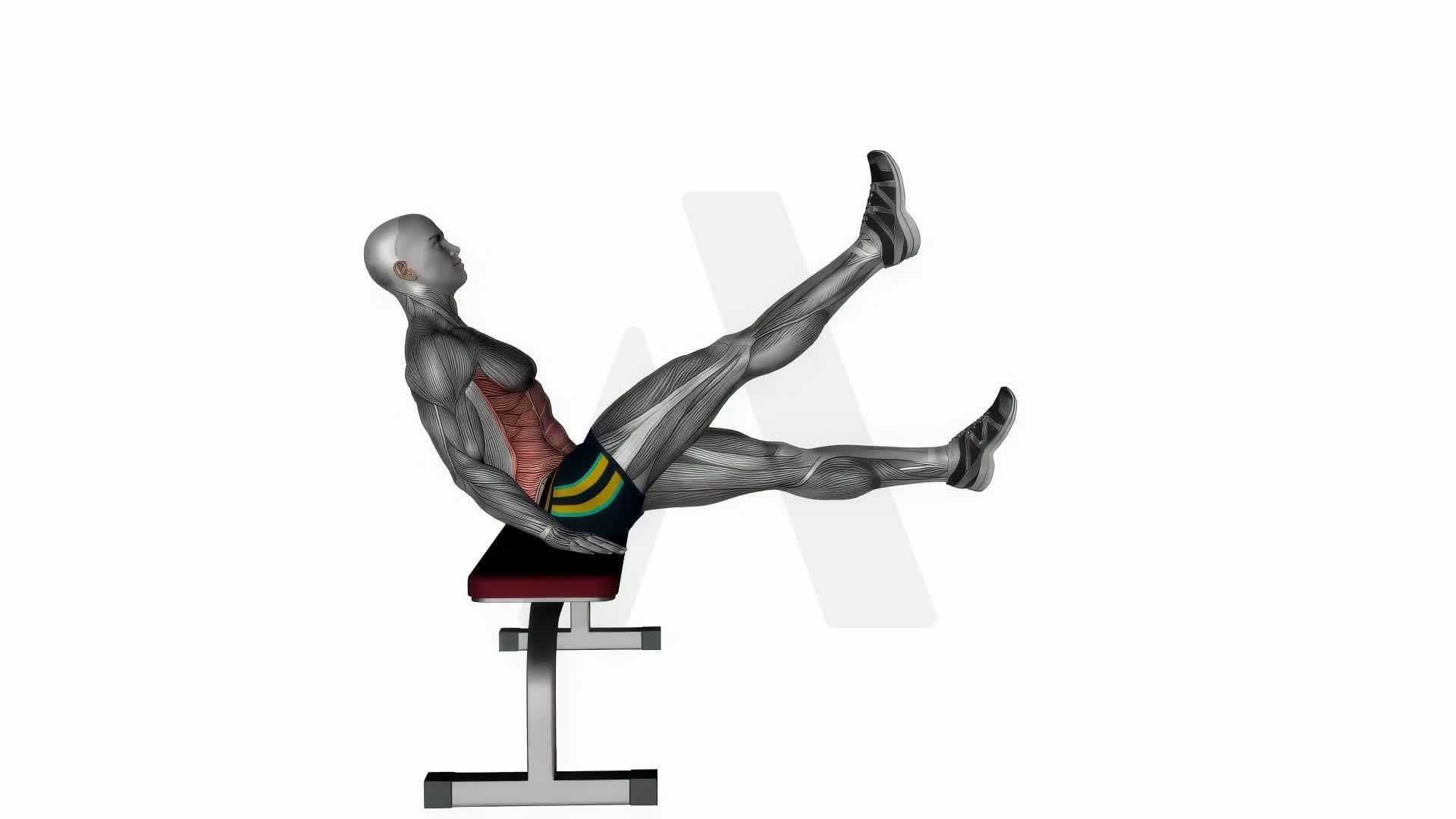 Seated Flutter Kicks exercise demonstration