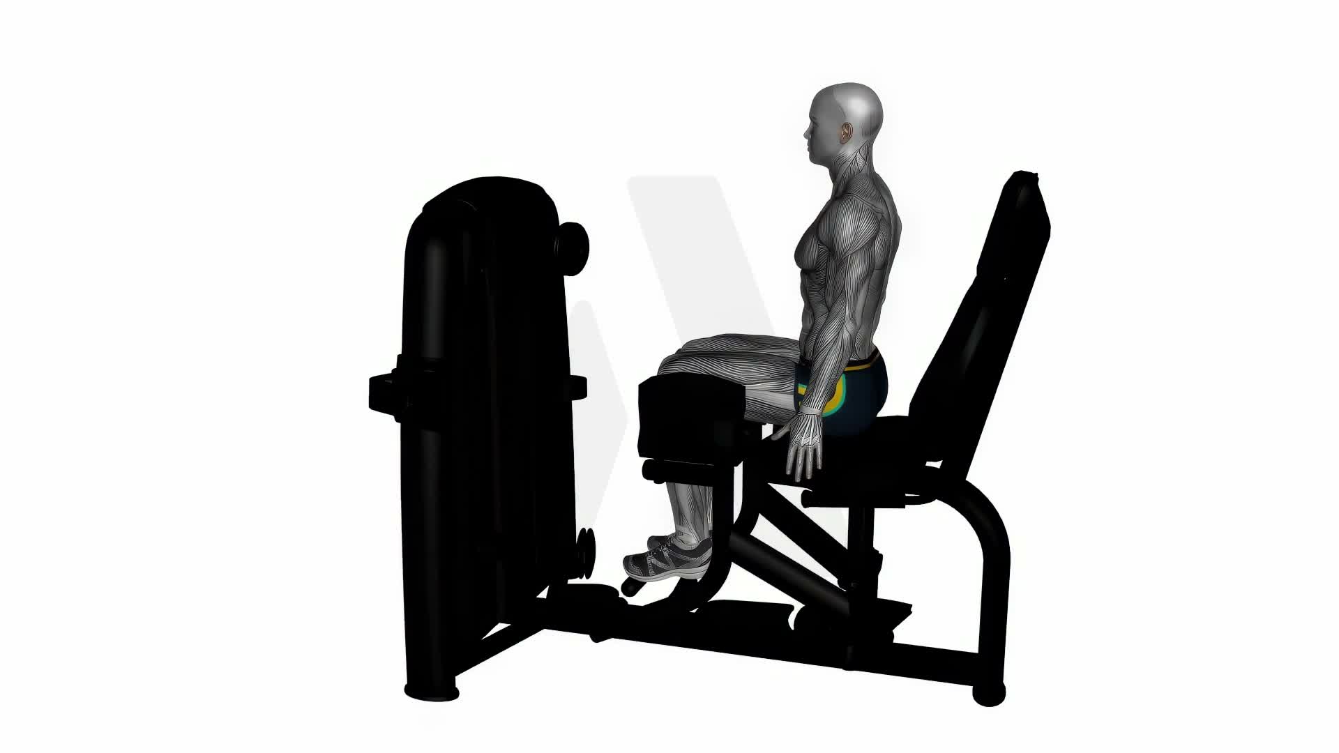 Seated Hip Abductor Machine exercise demonstration